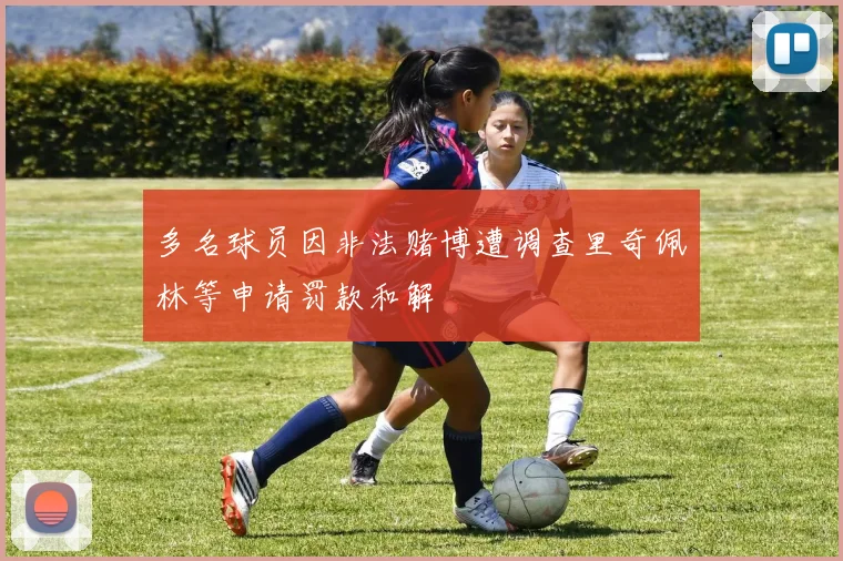多名球员因非法赌博遭调查里奇佩林等申请罚款和解
