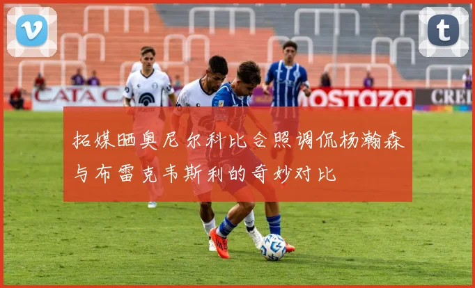 拓媒晒奥尼尔科比合照调侃杨瀚森与布雷克韦斯利的奇妙对比