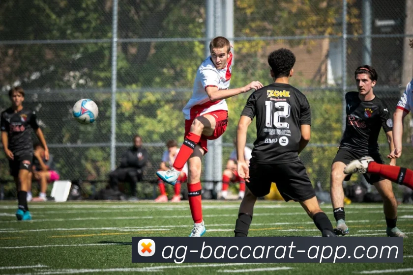 AG百家乐平台生态图