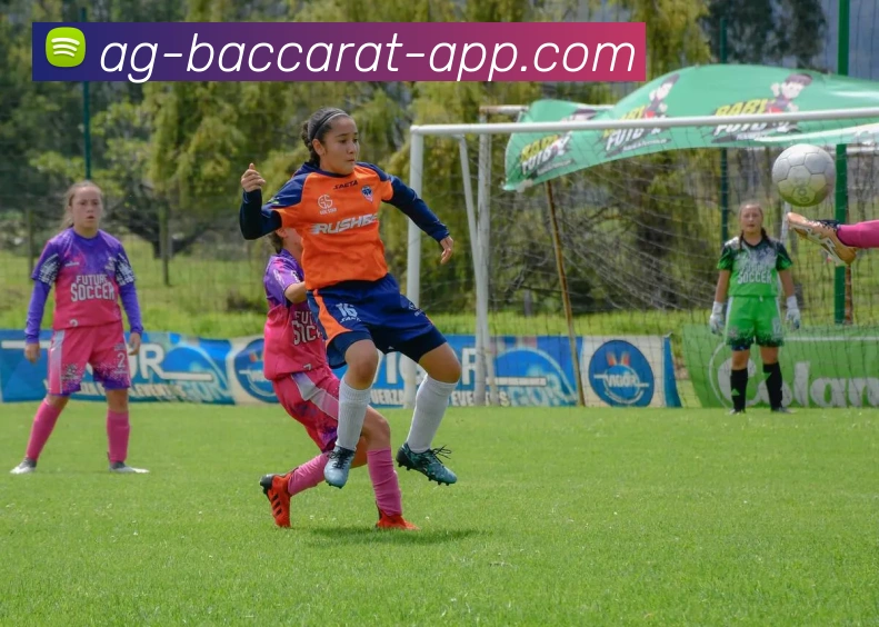 AG百家乐全站App